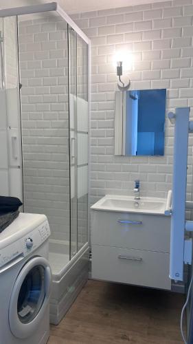 une salle de bain avec une machine à laver et un lavabo dans l'établissement La Venise du Languedoc Sète,Terrasse,mer,cosy, à Sète