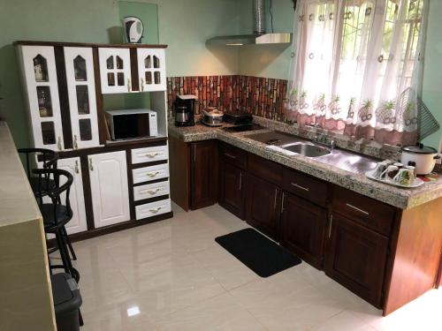 a kitchen with a sink and a microwave at Casita Canto del Bosque Monteverde in Tilarán