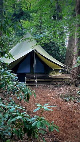 une tente installée au milieu d'une forêt dans l'établissement SENSI - glampingtenten midden in de bossen, à Oostkamp