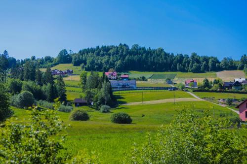 a green field with houses and trees on a hill at Willa Jaworzynka 1103 K Istebnej in Jaworzynka