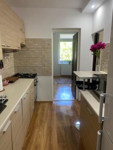 Kuchyňa alebo kuchynka v ubytovaní Cristal Apartament Krynica - Zdrój