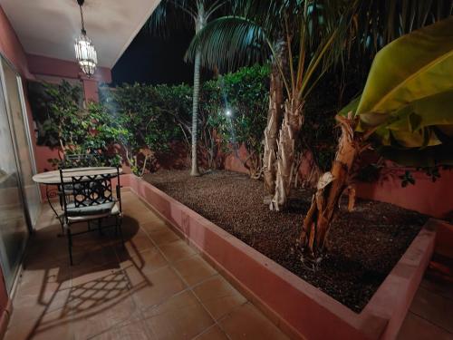Сад в Hotel Don Cándido