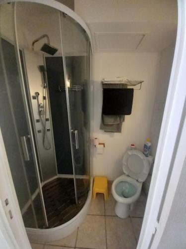 une salle de bain avec douche et toilettes dans l'établissement le continental, à Lamalou-les-Bains