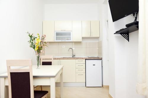 Una cocina o kitchenette en Apartment Anny