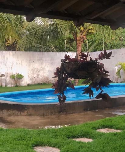 a bunch of plants hanging over a swimming pool at Casarão da Barra - Barra De Cunhaú in Canguaretama