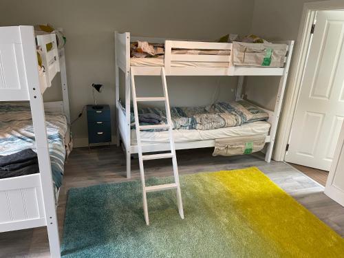 a room with two bunk beds and a rug at Spacious, modern room for families in a shared family home in Dublin