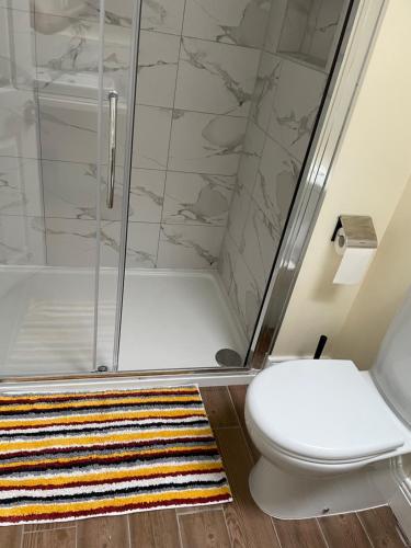 a bathroom with a toilet and a shower at Spacious, modern room for families in a shared family home in Dublin