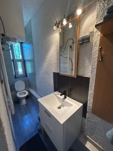 une salle de bain avec un lavabo et des toilettes dans l'établissement Beau séjour Aiguebelette, à Aiguebelette-le-Lac