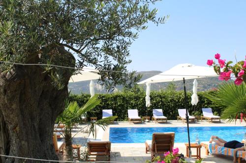 a pool with chairs and an umbrella and a tree at Agroturizem Bylis in Hekal
