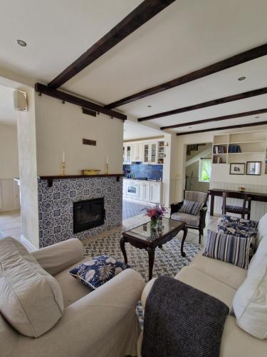 a living room with a couch and a fireplace at Villa on Luštica peninsula with fantastic sea view in Mitrovići