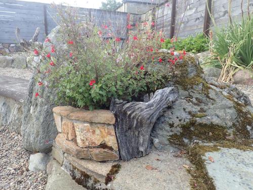 a rock planter with red flowers in it at Best Tipi in Morayshire with Whisky Barrel Hot Tub in Coltfield