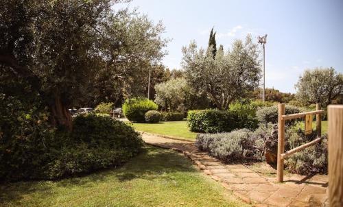 a garden with a path and trees and bushes at Capalbio Relax - Super terrazza in Capalbio