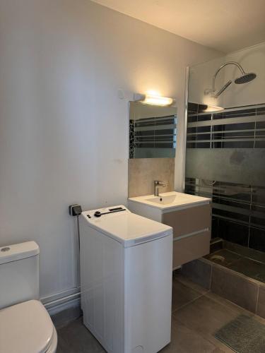 a bathroom with a toilet and a sink and a mirror at Appartement élégant avec vue et climatisation in Fort-de-France
