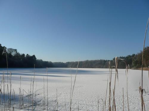 a large body of water with snow on it at Forsthaus Großmenow in Fürstenberg-Havel