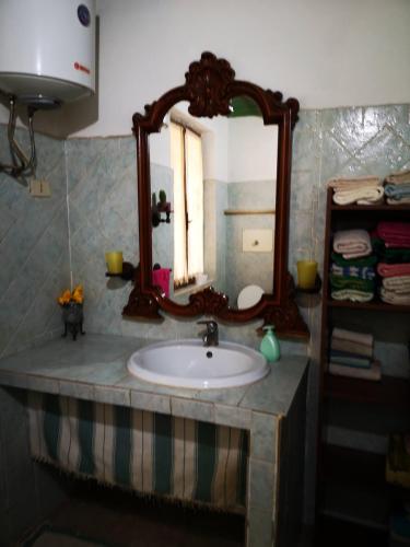 a bathroom with a sink and a mirror at Pinnettu sardo casa di campagna in ecosistema insetti e animaletti simpatici in condivisione,Leggere attentamente Prima di prenotare in Oliena