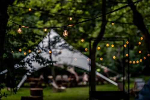 Jardin de l'établissement SENSI - glampingtenten midden in de bossen