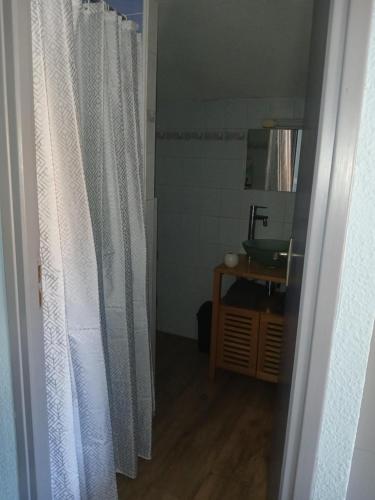 une salle de bain avec un rideau de douche et un lavabo dans l'établissement Joli appartement en centre ville et au calme, à Agen