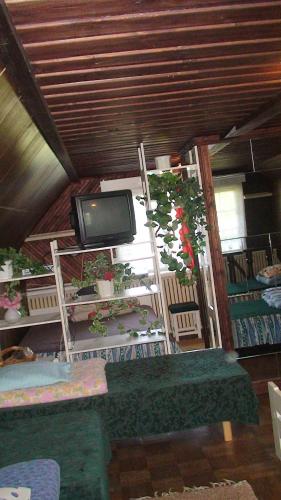 a living room with a tv and a green couch at Tammekännu Holiday House in Mammaste