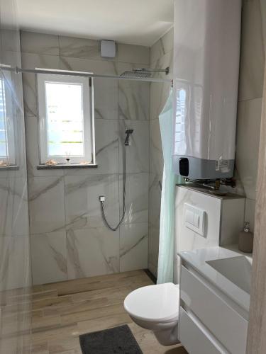 a bathroom with a shower and a toilet and a window at Novoveská chaloupka in Stříbrná