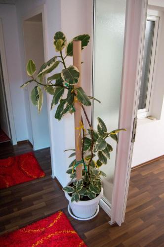 Gambar di galeri bagi Relax Rooms Visoko di Visoko