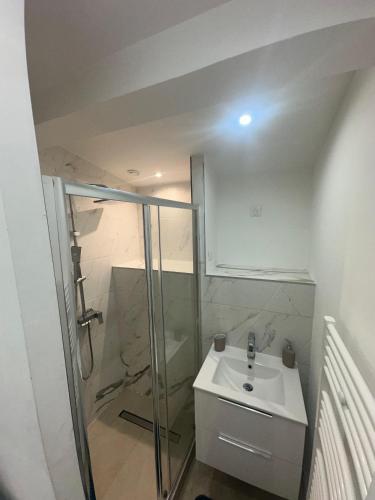 une salle de bain avec un lavabo et une douche dans l'établissement Maison 8 T2 Jacuzzi et Jardin, à Marseille