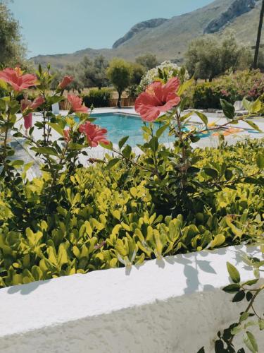 a garden with flowers and a swimming pool at Hotel Narkissos in Archangelos