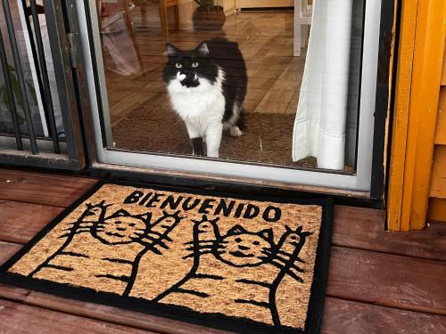 a black and white cat standing outside a door at Rincon de los Michis in Barra del Chuy