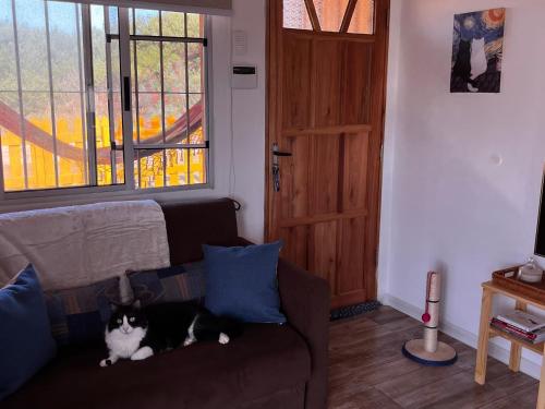 a cat sitting on a couch in a living room at Rincon de los Michis in Barra del Chuy