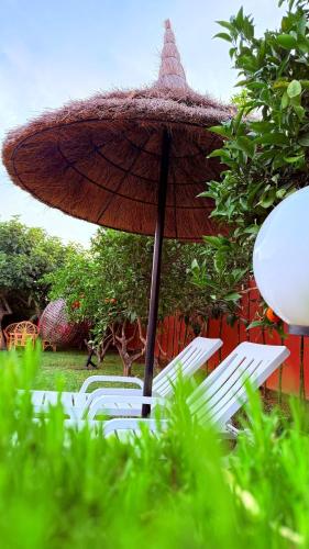 Κήπος έξω από το Villa Dayet Roumi House