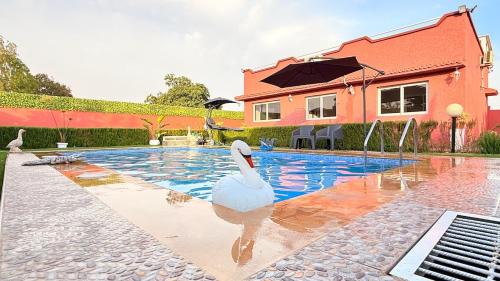 Πισίνα στο ή κοντά στο Villa Dayet Roumi House
