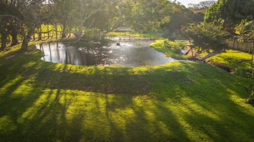 a river in a park with green grass and trees at Yoko Termales in Fortuna