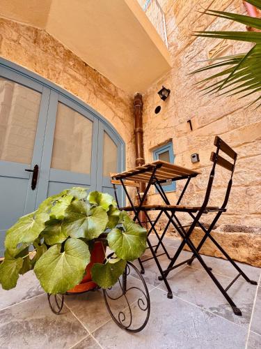 a chair and a plant in front of a building at Kappella boutique in Malta in Żurrieq