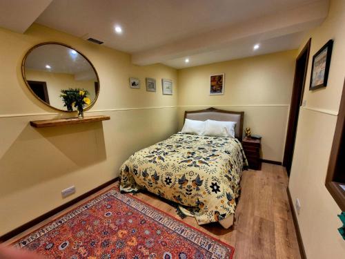 a bedroom with a bed and a mirror and a rug at The Studio, Apedroc in Forest Row