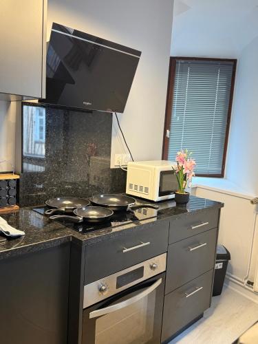 Il comprend une cuisine équipée d'un four micro-ondes et de plaques de cuisson. dans l'établissement Le temple, moderne et élégant Cœur de Limoges, à Limoges