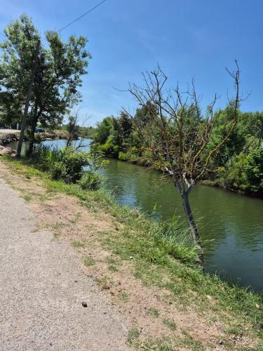 a river with a tree next to a dirt road at Mobil-Home Le Provençal in Fréjus
