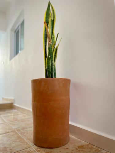 a plant in a brown pot sitting on a floor at Eco Bay Surf Camp in Aourir