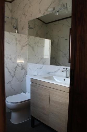 a bathroom with a sink and a toilet and a mirror at Nevada Malalcahuello in Malalcahuello