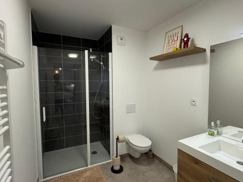 une salle de bain avec une douche, des toilettes et un lavabo dans l'établissement Appartement 2 pièces à Houlgate, proche plage, avec balcon et parking - FR-1-487-382, à Houlgate