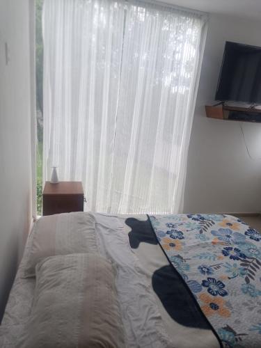 a bedroom with a bed and a window with a curtain at Casa blanca in Santa María Atlihuetzián