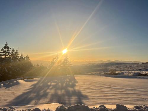 a sun setting over a snow covered field with trees at Guesthouse HOALOHA 4 SEASONS in Chino