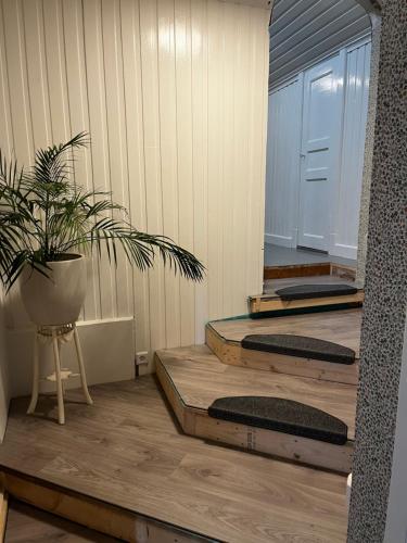 a room with three steps with a potted plant at Kulla Skola in Veddige