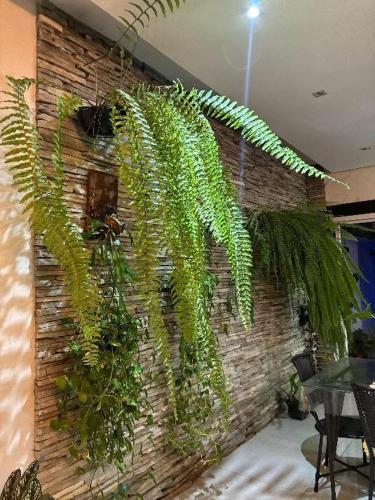 a brick wall with a plant growing on it at Casa linda em Goianésia! in Goianésia