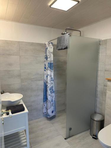 a bathroom with a shower and a sink at Bed & Breakfast “Den Gamle Lade I Hejls” in Hejls