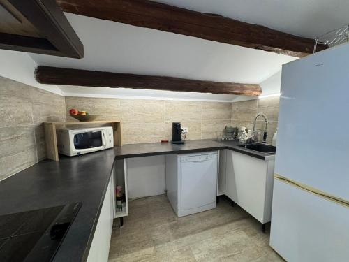 La cuisine est équipée d'un réfrigérateur blanc et d'un four micro-ondes. dans l'établissement Studio Idéal Festival d 'Avignon, à Avignon
