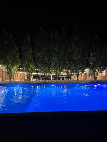 a swimming pool at night with ducks in it at Cascade Resort Sevan in Sevan