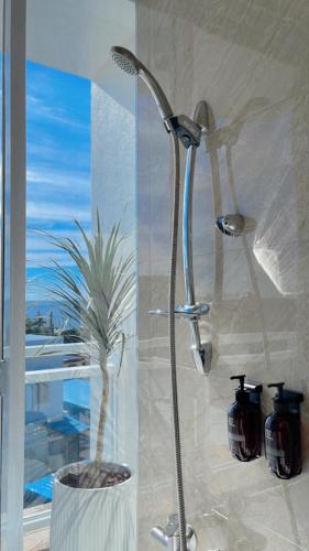 a shower in a bathroom with a plant at 七之二民宿 in Hengchun South Gate