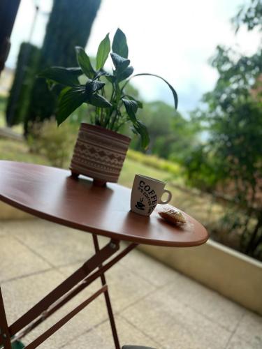 a table with a potted plant on top of it at T2 Cosy Aéroport Toulouse Blagnac in Blagnac