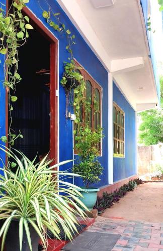 Taman di luar Sayura Guest House