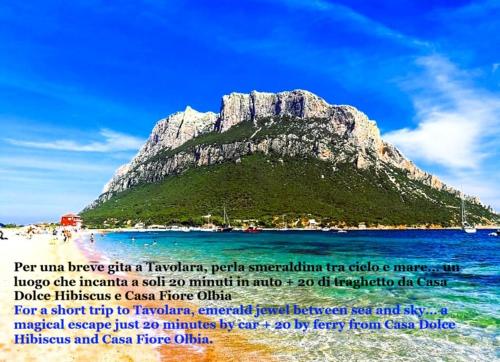 a mountain in the water with a message on it at Casa Fiore Olbia in Olbia