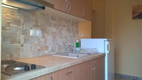 A kitchen or kitchenette at Apartments Palladium